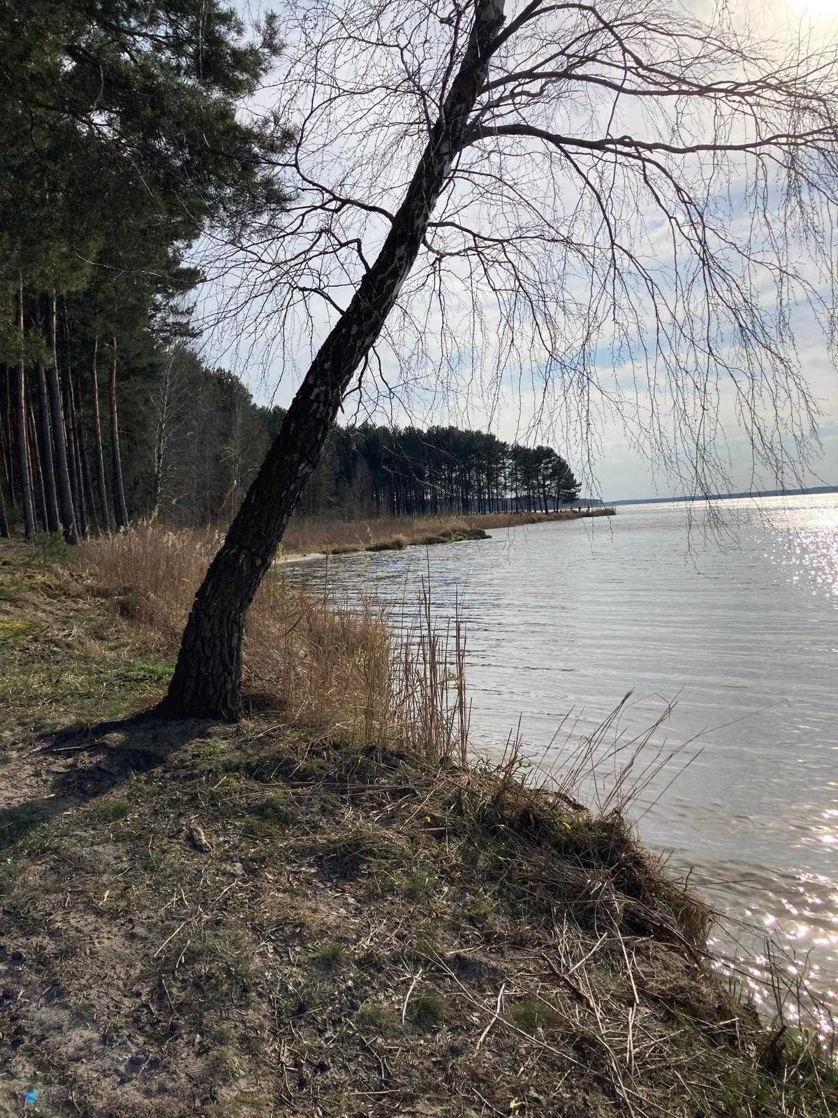Działka Budowlana Tresta ul. Podlesna 1000 m² Zalew Sulejowski
