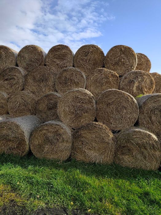 Sprzedam Słomę zimową