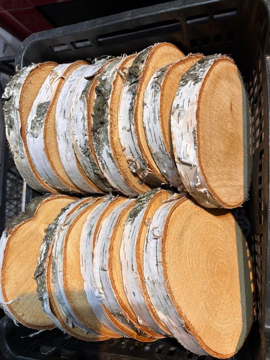 15 plastrów brzozy wymiary 20-23 cm