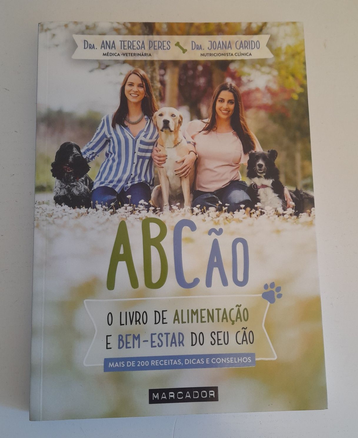 A B  c do cão manual