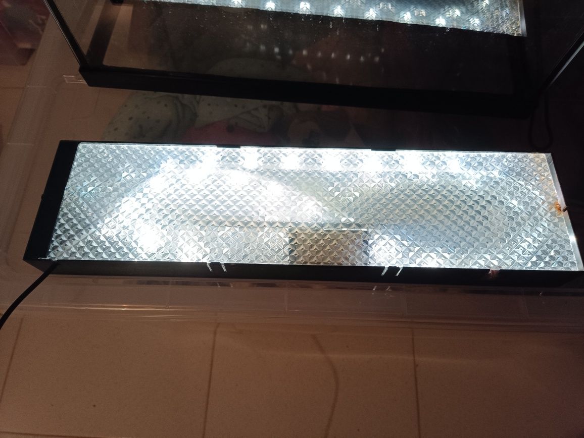 Aquário 25 Litros comprado no Auchan