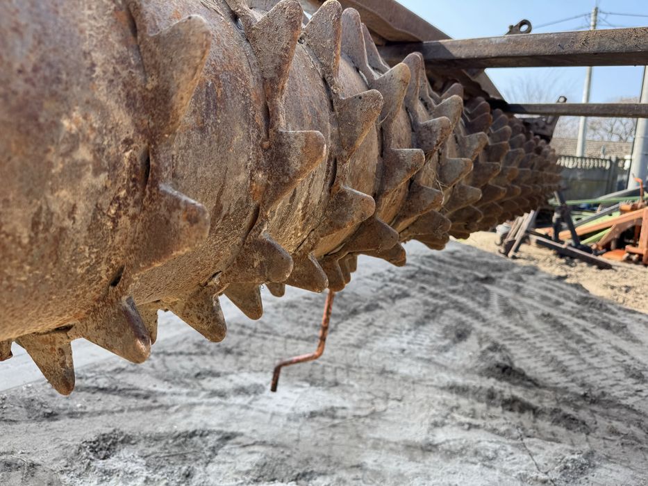 Wal packera pakera Maschio 300 cm