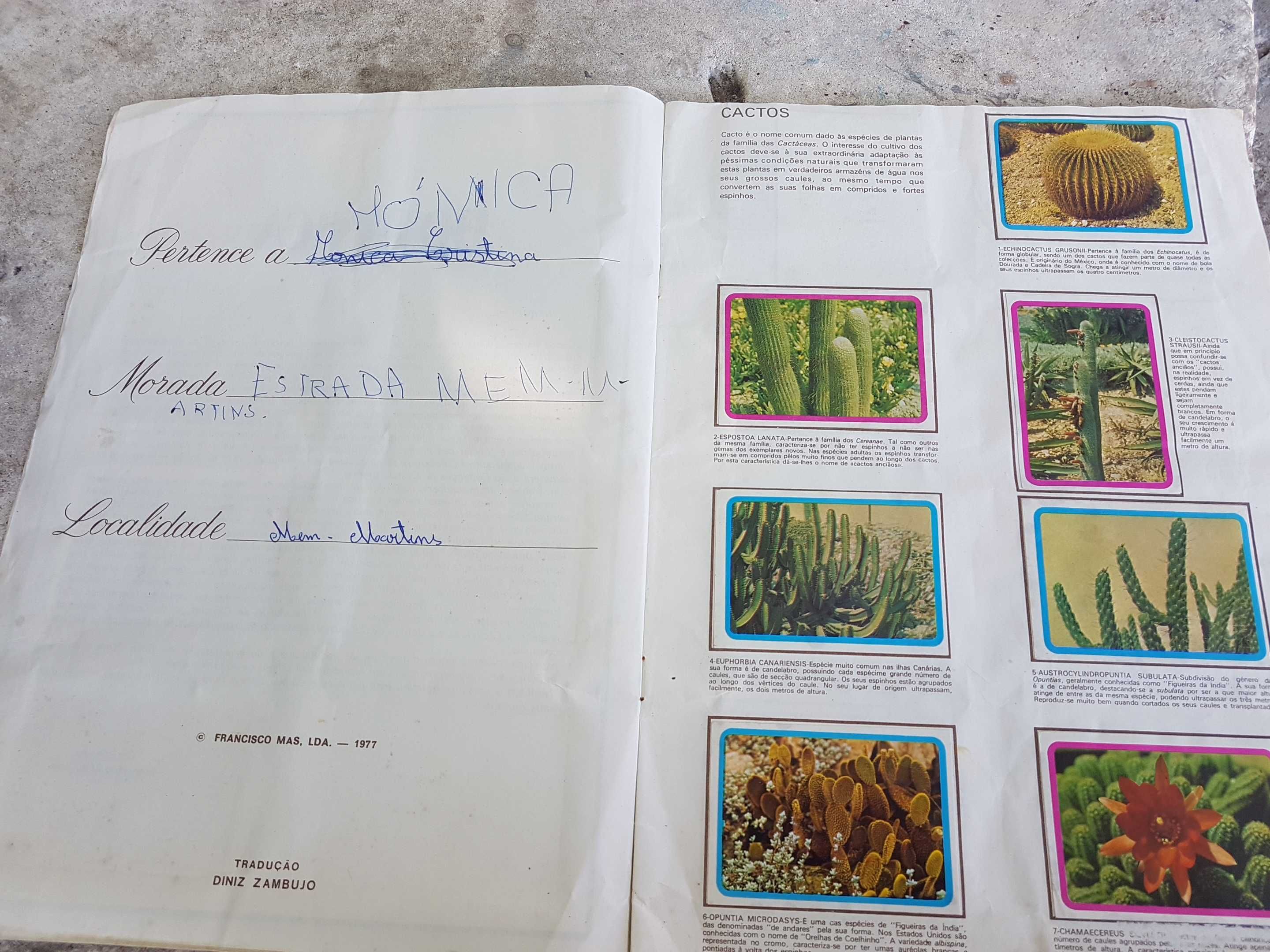 Caderneta botânica plantas, flores e frutos de 1977