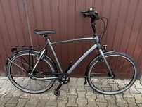 Gazelle Chamonix S8+ rama h61 (180-195cm) pasek napedowy Like Koga Cub
