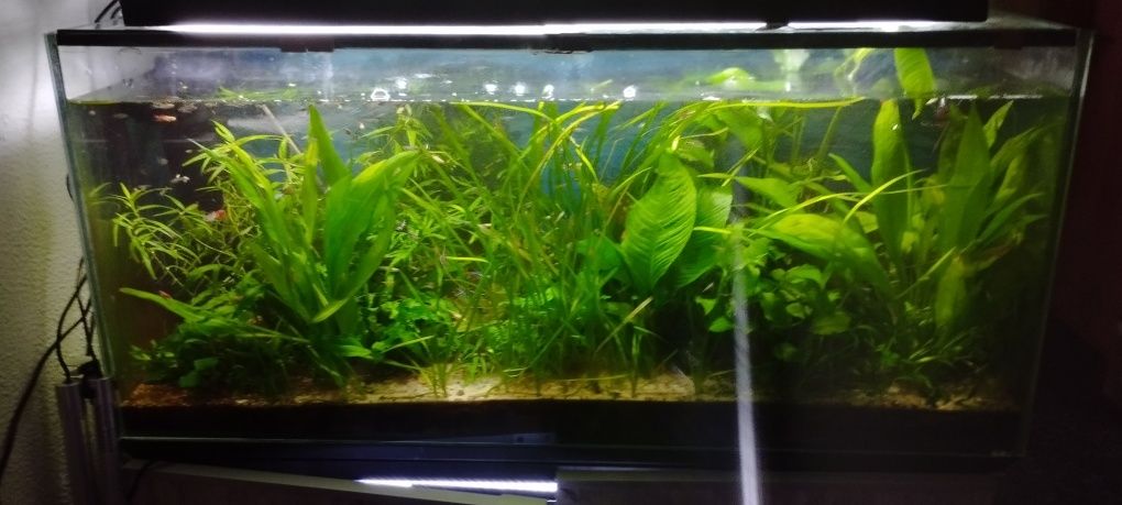Armação com lâmpada de led para aquário