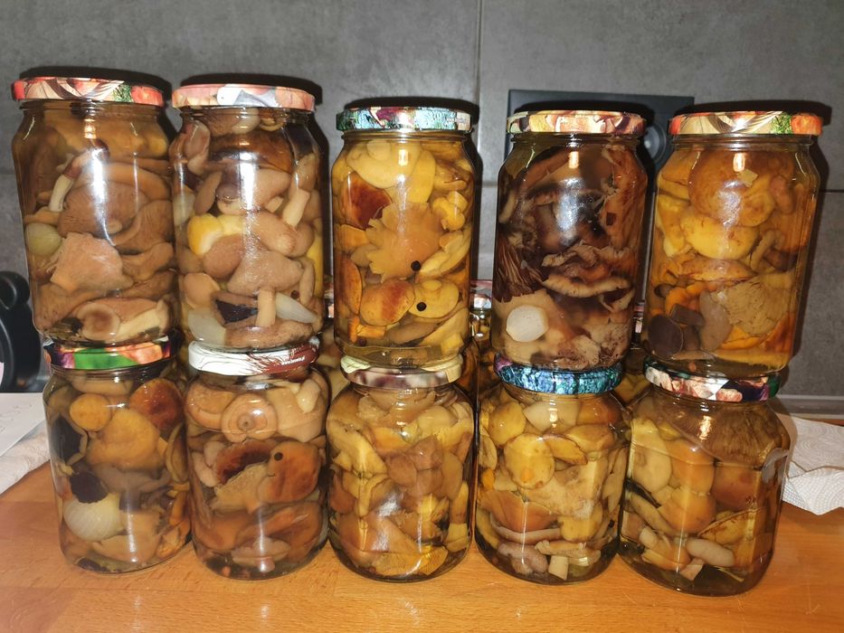 Grzyby marynowane 10x450ml