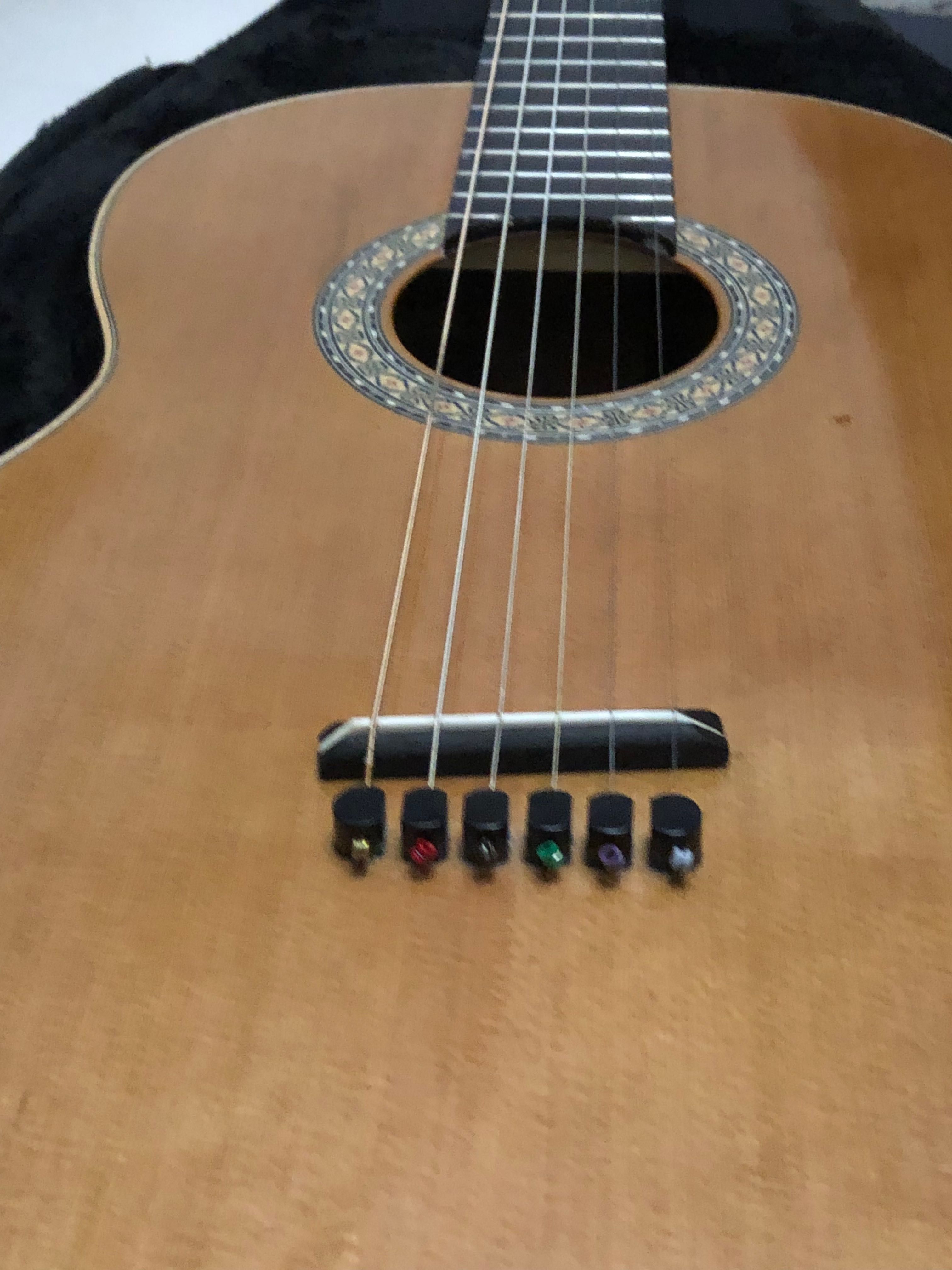 Guitarra de Concerto Esteve