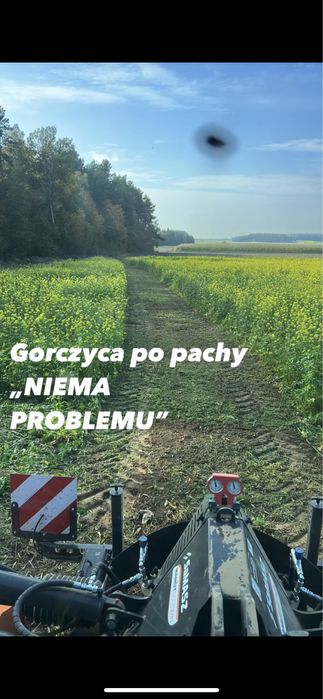 Mulczer SaMASZ MAMUT 860 mulczowanie kukurydzy nieużytków pług dłutowy