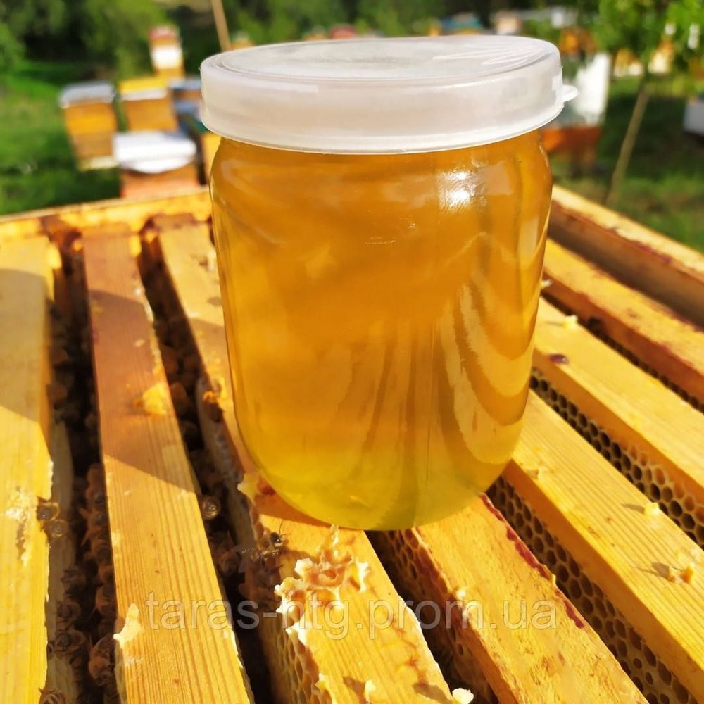 Продам Натуральний мед, натуральный мёд!! акація , гречка, сонях