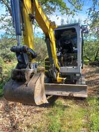 Limpeza de terrenos e outros serviços agricolas