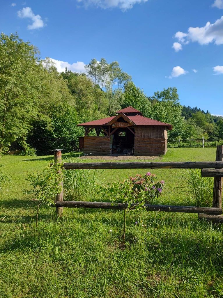 Domek w Bieszczadach Bajkowy Zakątek
