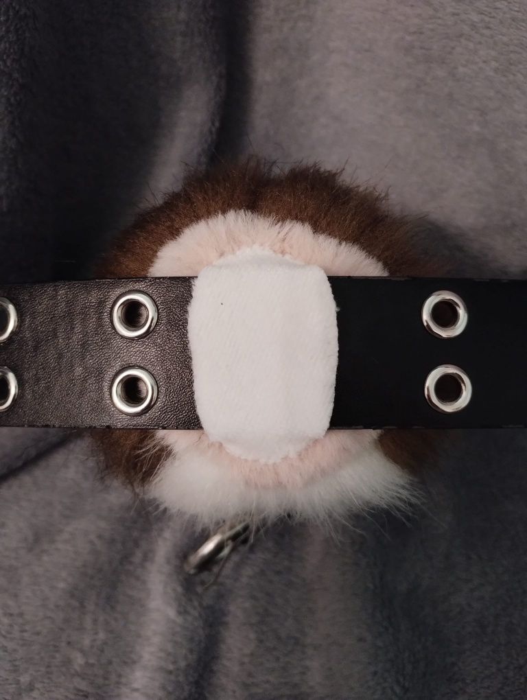 Brązowo biały ogon furry mały