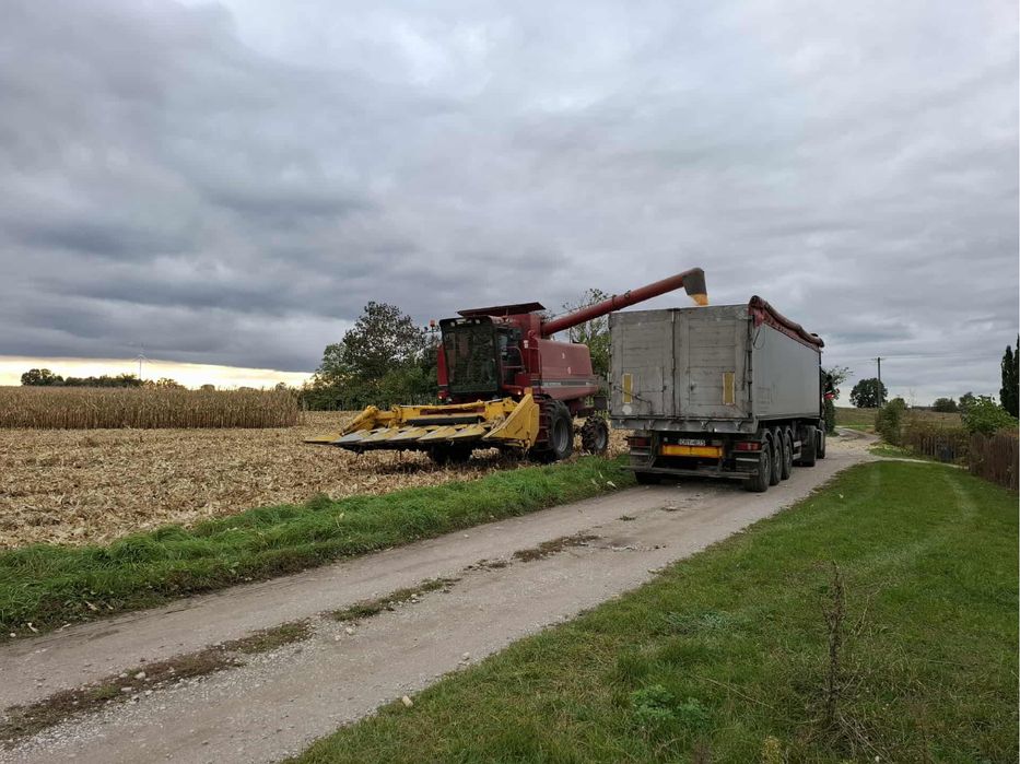 Kombajn zbiór , młócenie ,tranport kukurydza