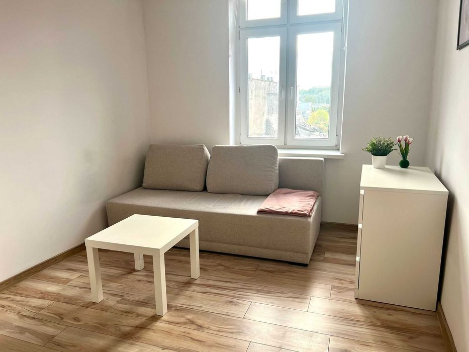 Do wynajęcia przestronne mieszkanie - Przyjazne dla zwierząt - Centrum