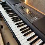 Синтезатор KORG EK-50 Limitless