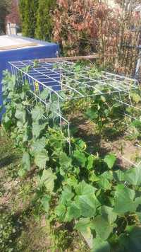 Skrzynie warzywniak ogródek kompostownik donice