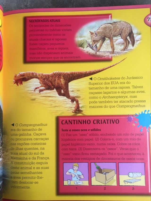 Dinossauros tudo o que precisas saber