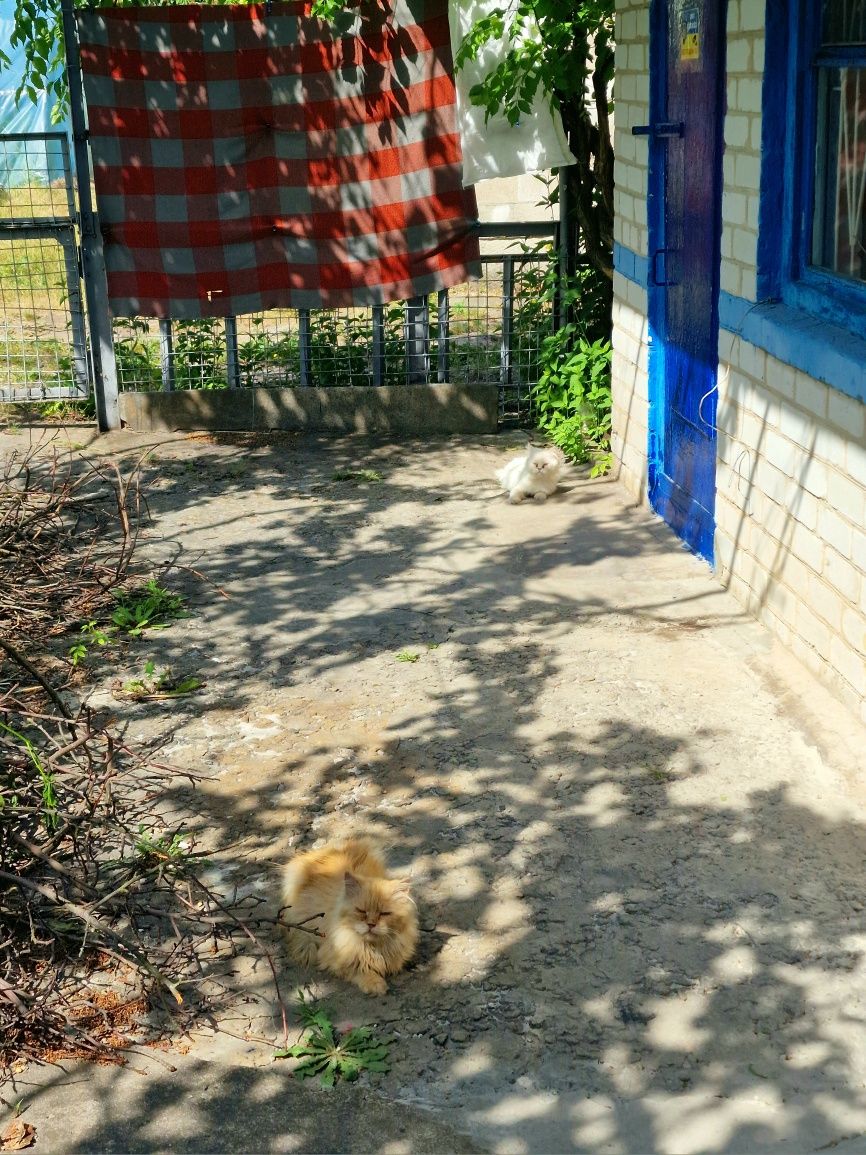 Продам Дачу  Верхнии Сады МЕДИК 2