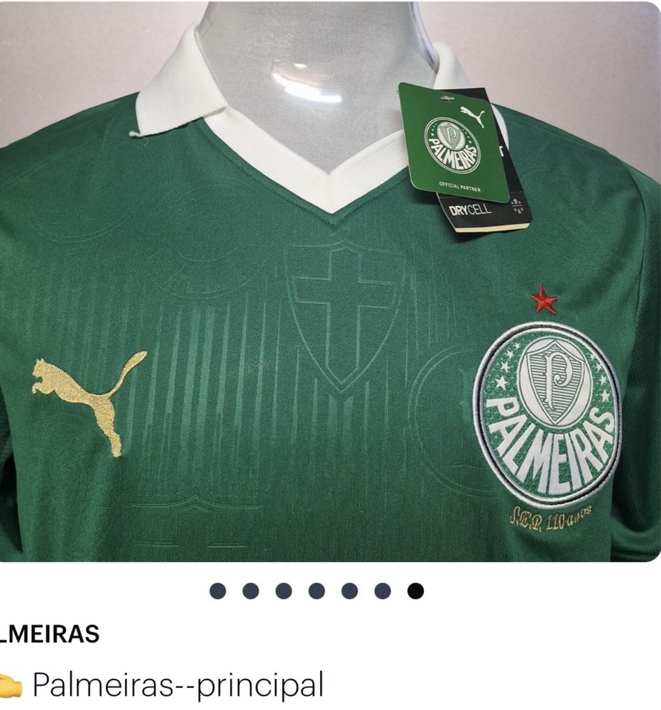 Camisola Palmeiras Paga 1 leva 2