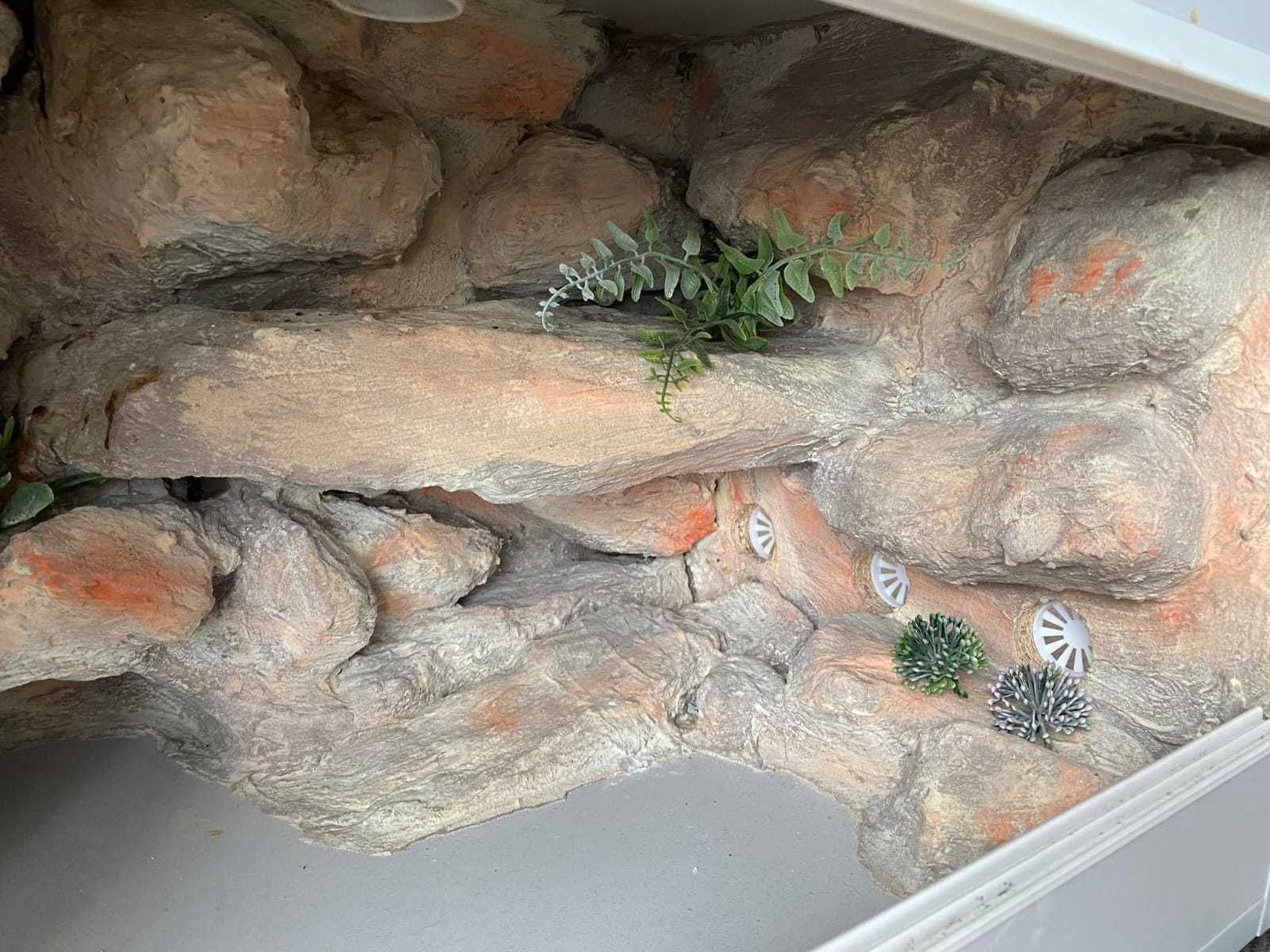 Terrarium dla GEKONA sprzedam