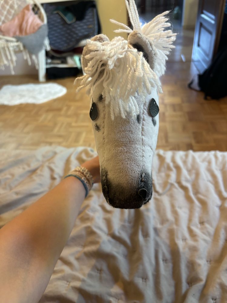 Hobby horse   a4