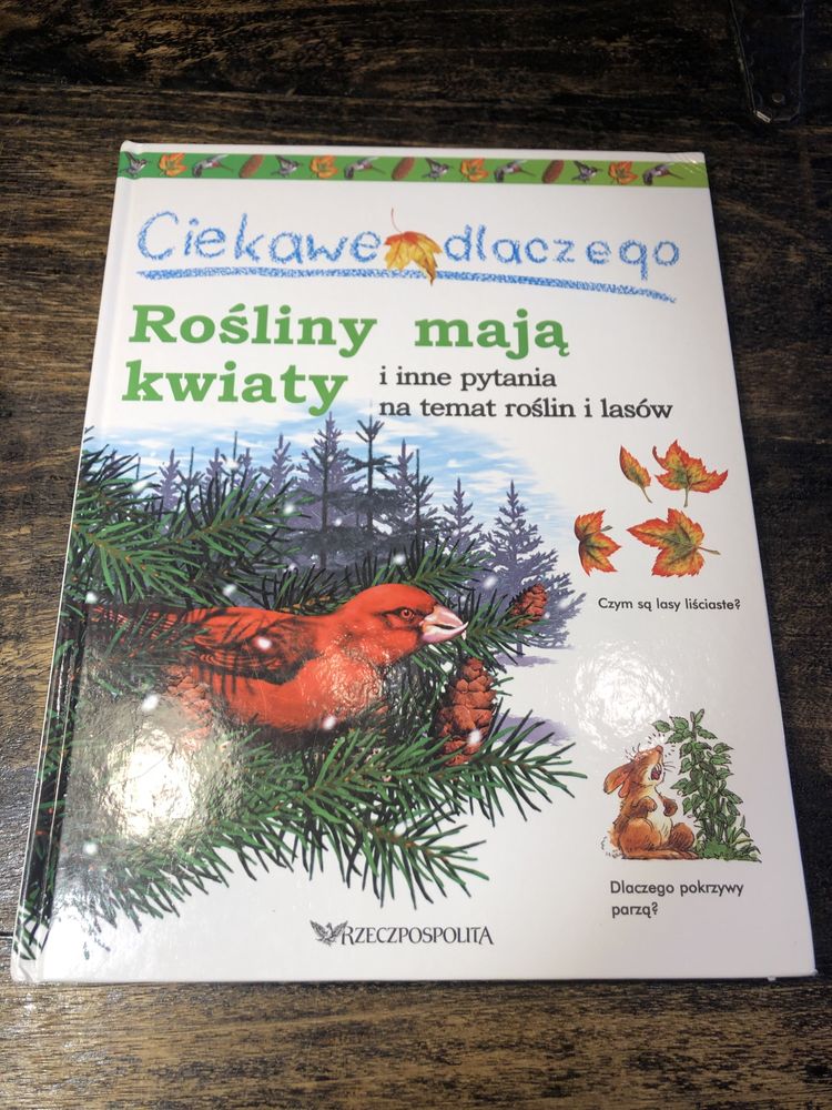 Książka „Ciekawe dlaczego – Rośliny mają kwiaty i inne pytania na tema