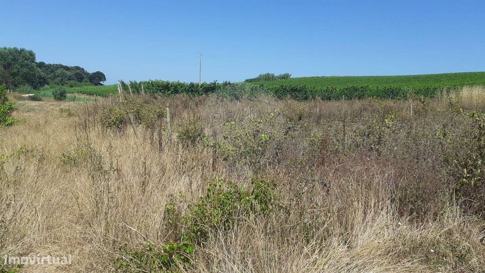 Terreno  para venda