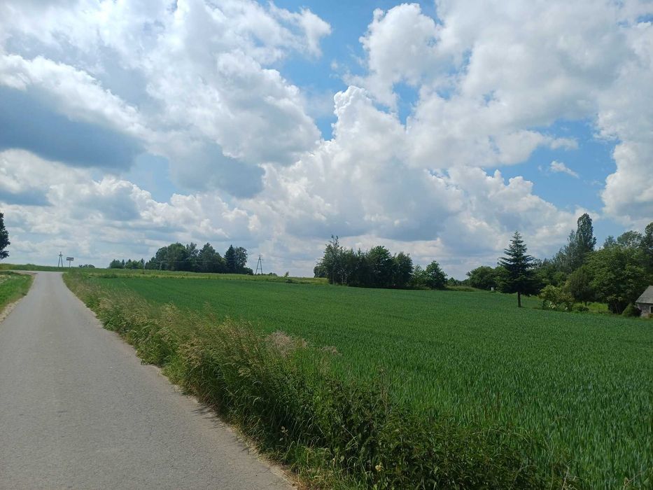 działka w Motyczu z warunkami zabudowy, 1633m2, cena do uzgodnienia