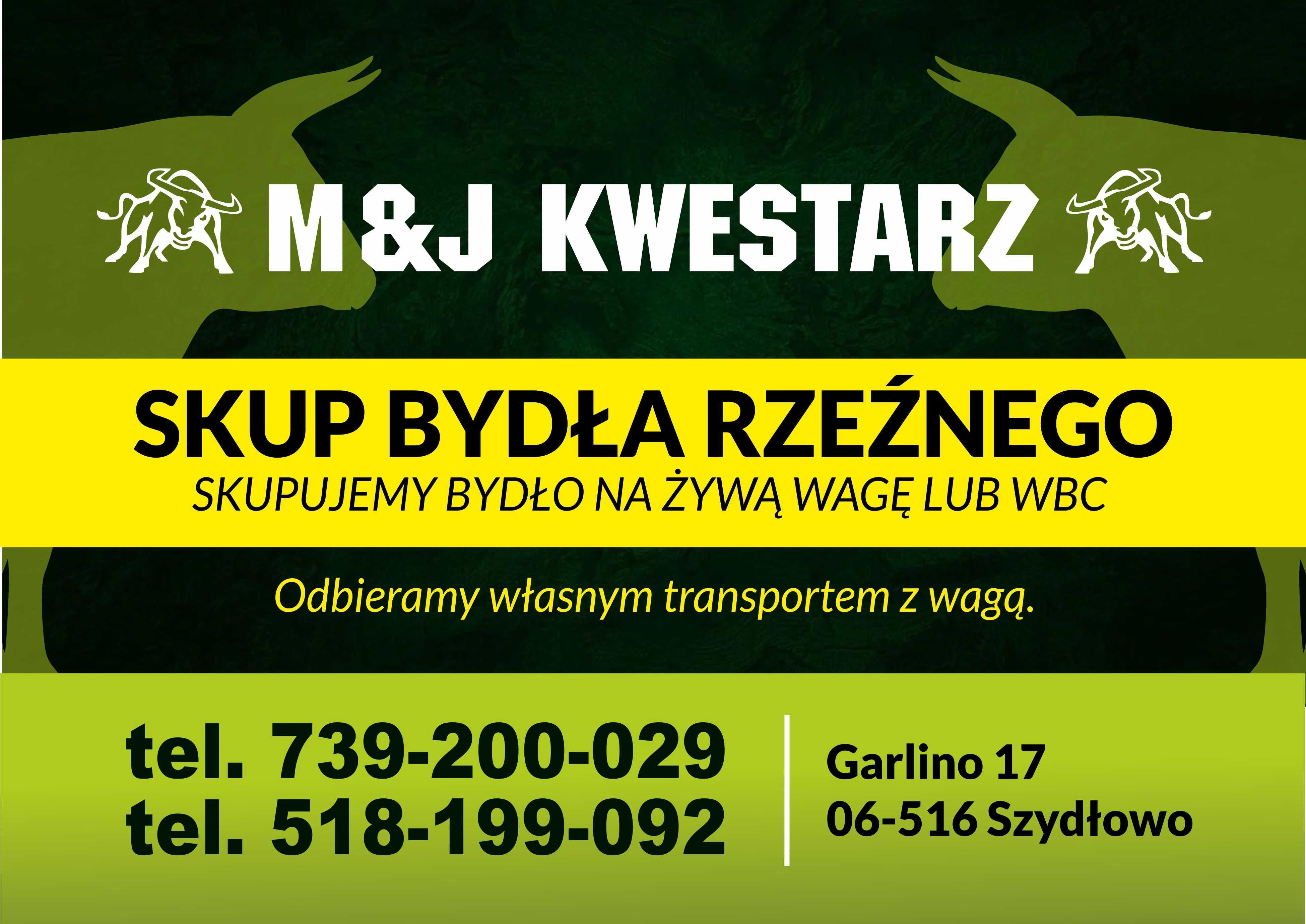 Skup Bydła Rzeźnego Jałówki/Krowy/Byki/Cielaki/Odsadki
