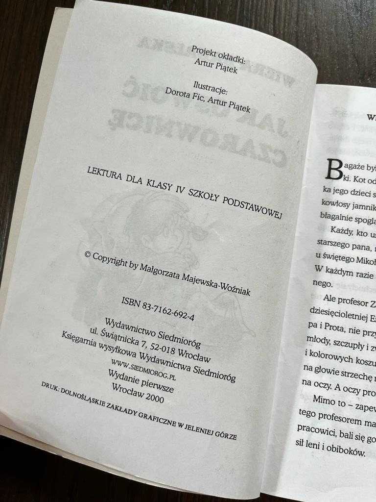 Książka dla dzieci Jak oswoić czarownicę - Wiera Badalska, Siedmioróg