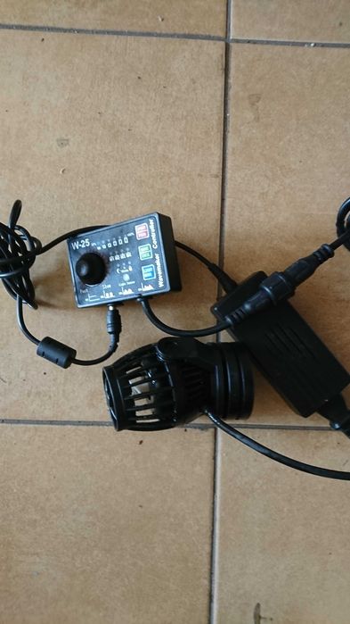 Ryby i korale Morskie