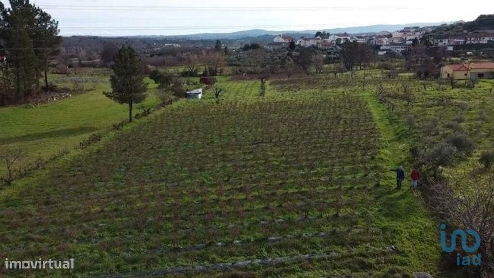 Terreno T1 em Orjais de 13249,00 m2