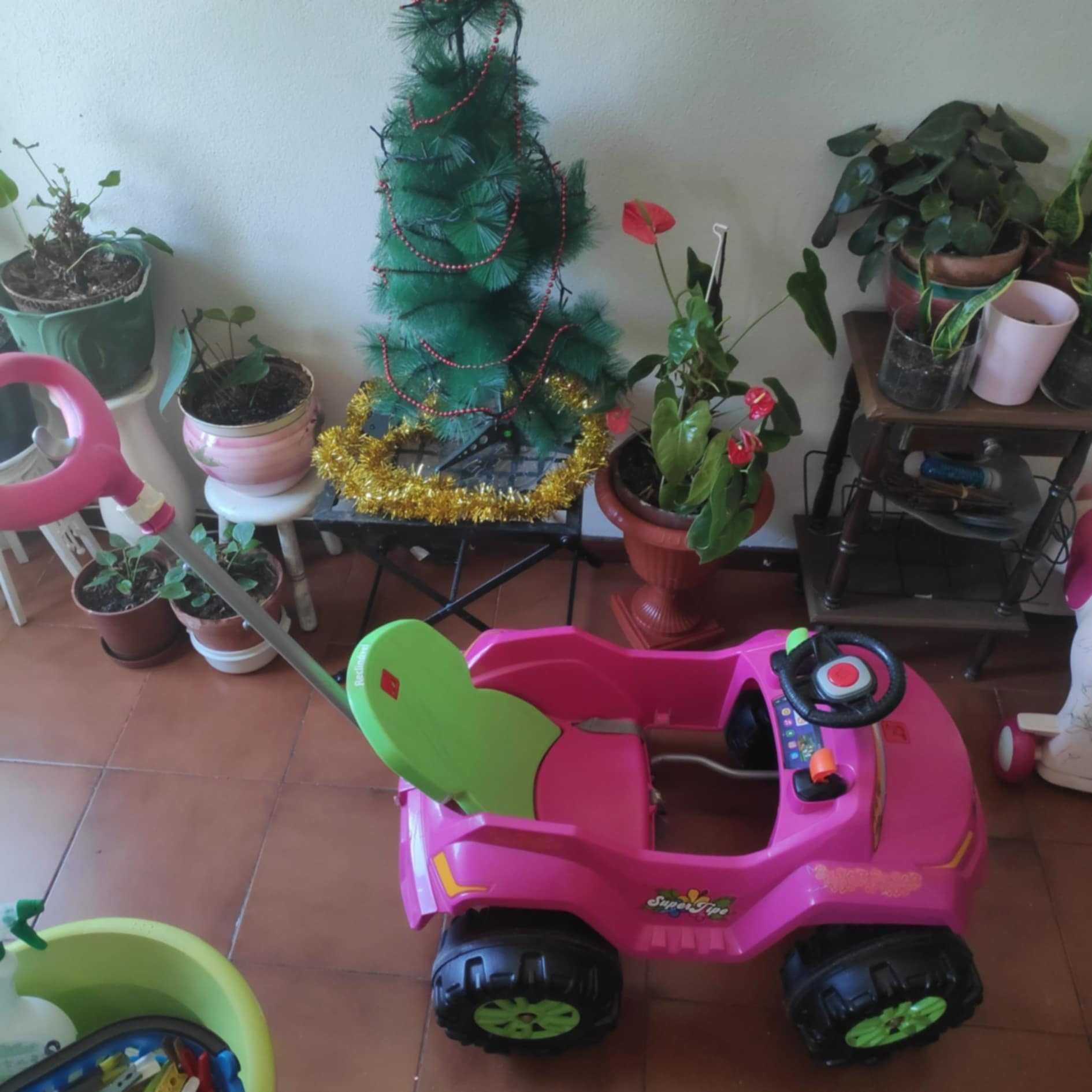 Triciclo/carro de criança