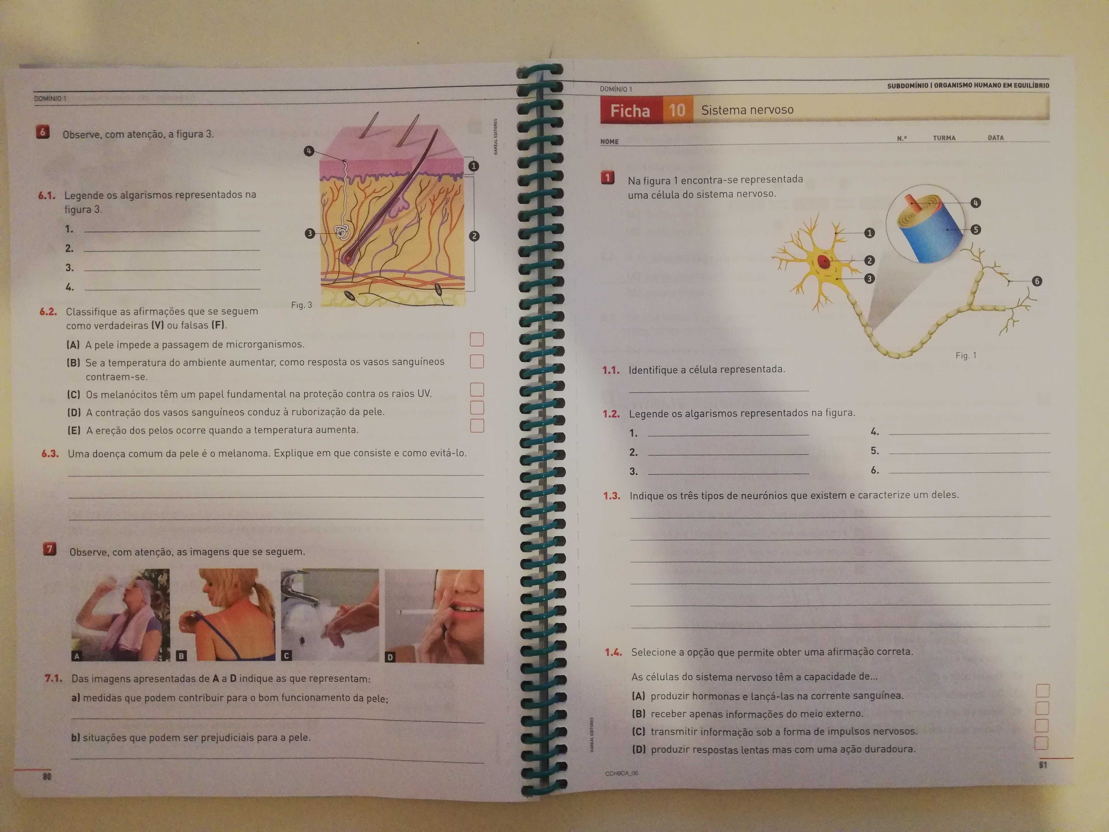 Compreender o Corpo Humano - Ciências Naturais - 9.º Ano + Caderno