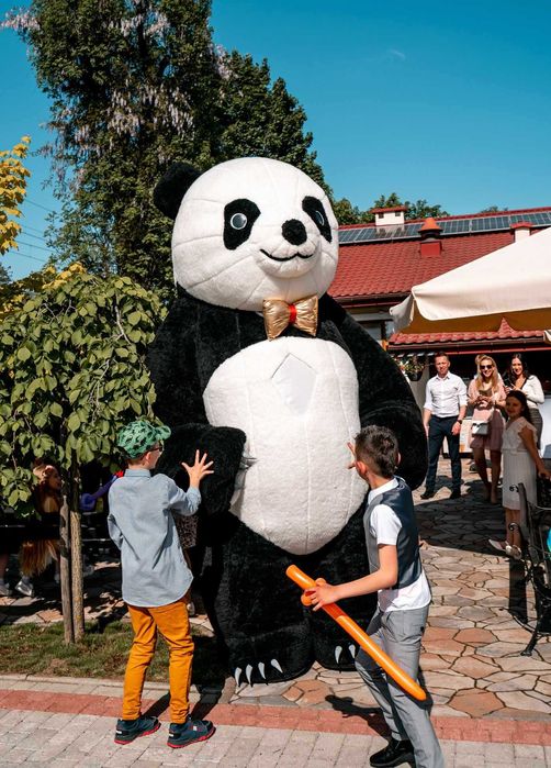Dmuchane duże misie, atrakcja na wesele, piknik, festyn