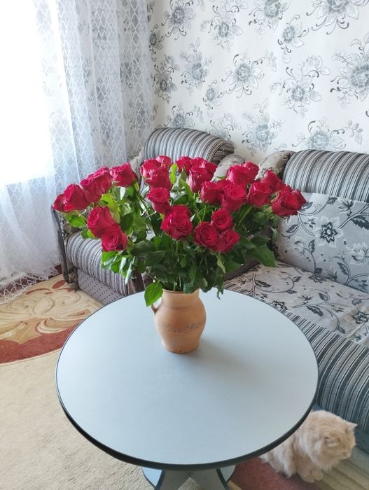 Розкладний диван