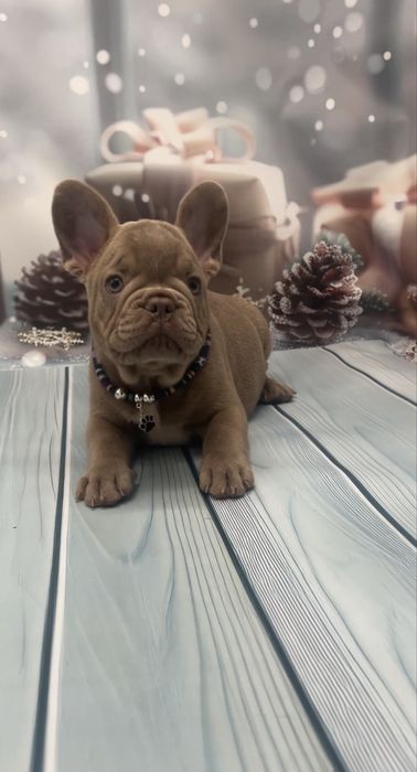 Самі кращі малюки два щепленя