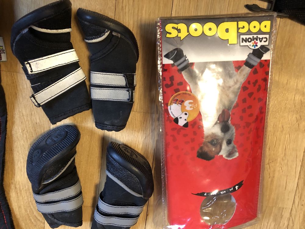 ZOLUX Buty mata obroża kong gryzak dla psa kubraczek kurtka