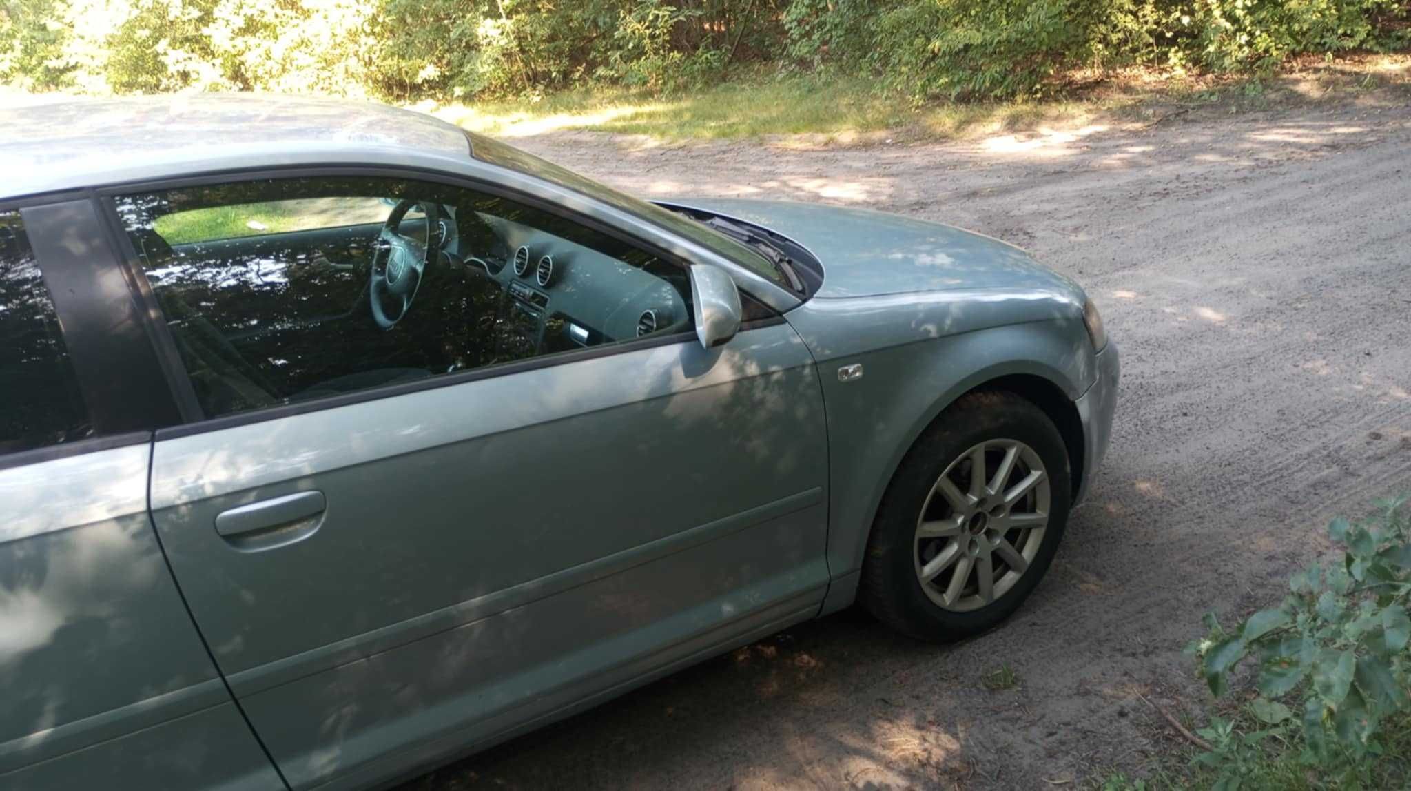 Audi A3 8P 1.6 MPI