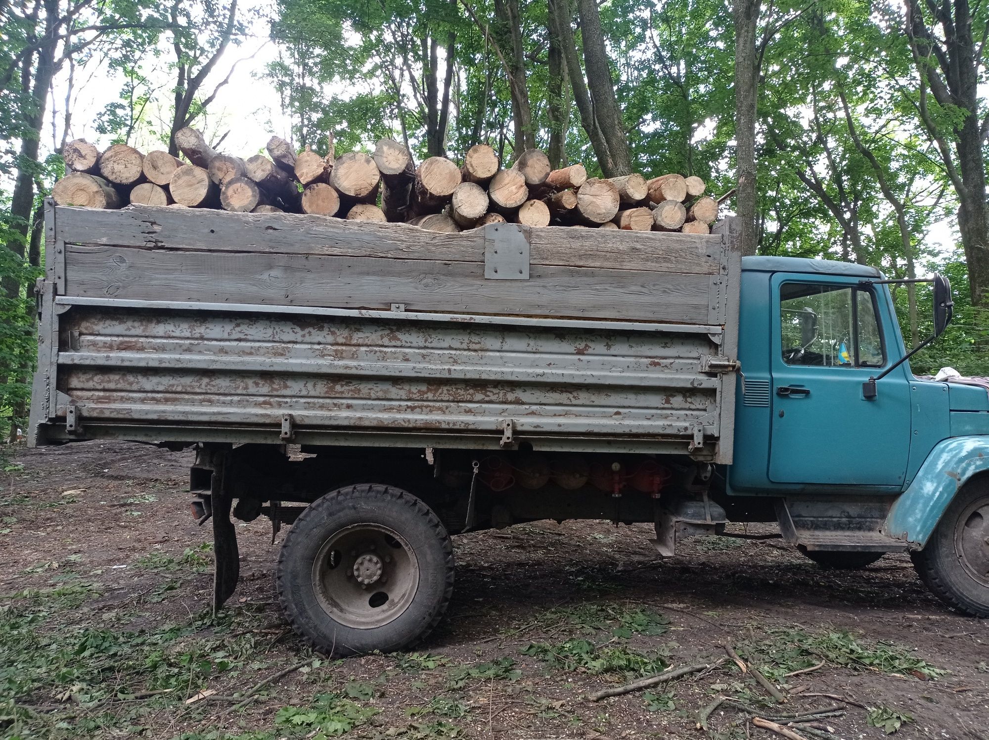 Дрова різних видів і породи
