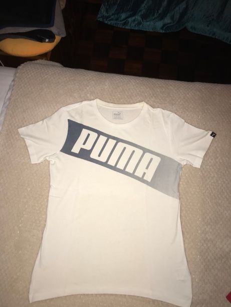 T-Shirts de Marca (Puma, GAP, Springfield)