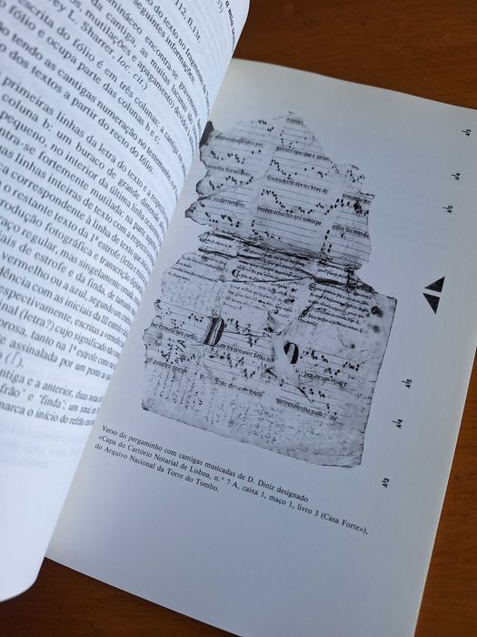 Poesia de Rei, Três Notas Dionisinas - Elsa Gonçalves (1ª edição 1991)
