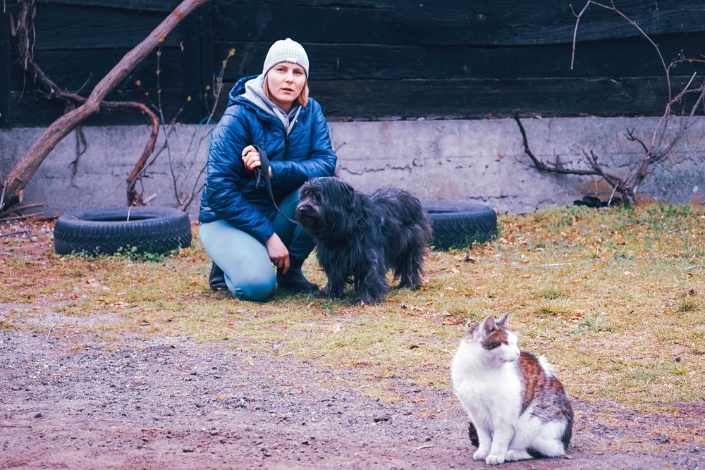 Molo - śliczny, kudłaty pies szuka domu
