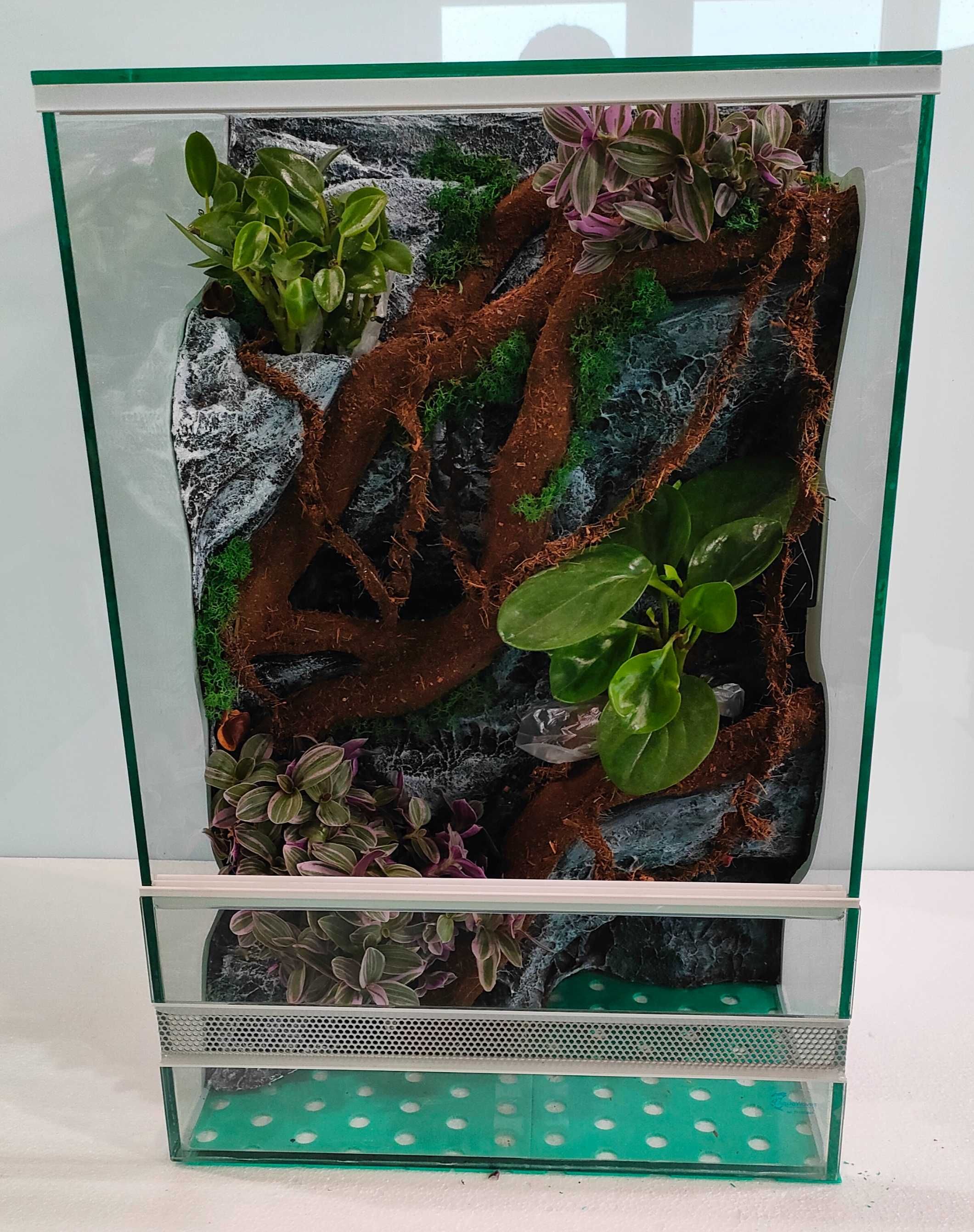 Terrarium dla gekona orzęsionego pełnym wyposażeniem AquaWaves TW30WSP