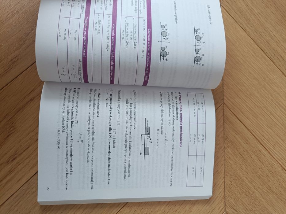 Fizyka w pigułce Ibis