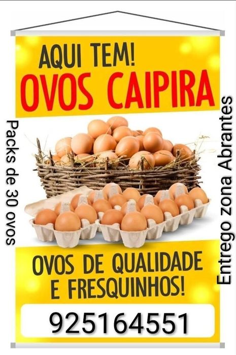 Ovos de galinha caseiros