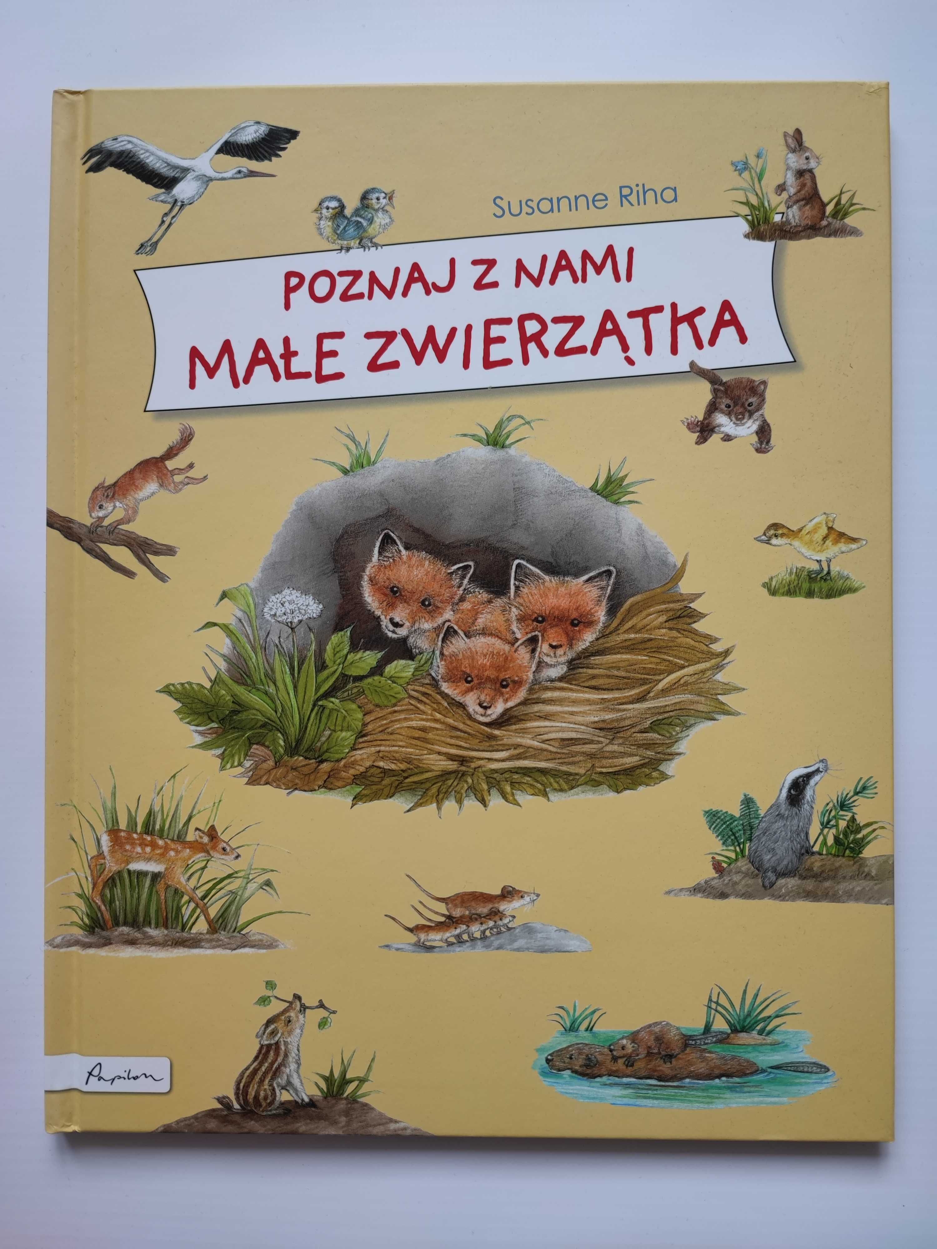 Poznaj z nami małe zwierzątka - Susanne Riha