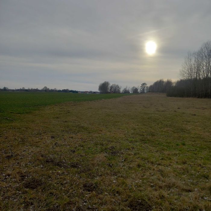 Ziemia 5 klasa krasnołeka na koloni