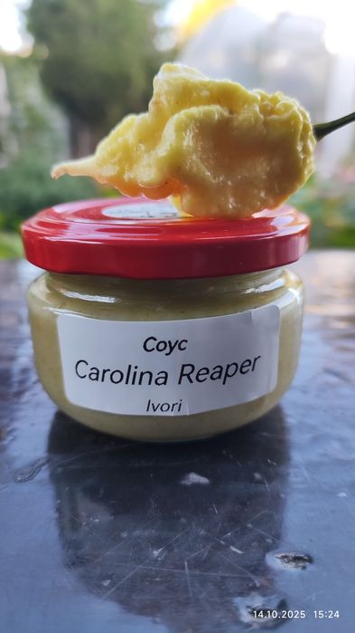 Соус Carolina Reaper концентрат.100мл.