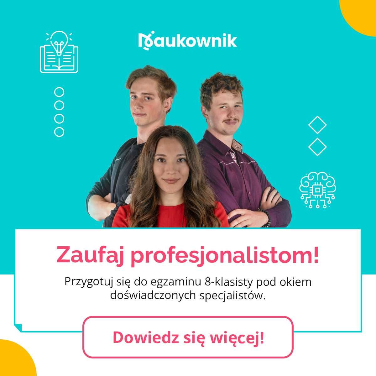 Korepetycje język polski, korepetycje z polskiego, egzamin 8-klasisty